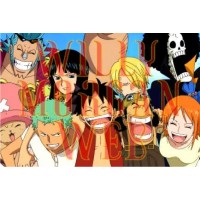 One Piece 13